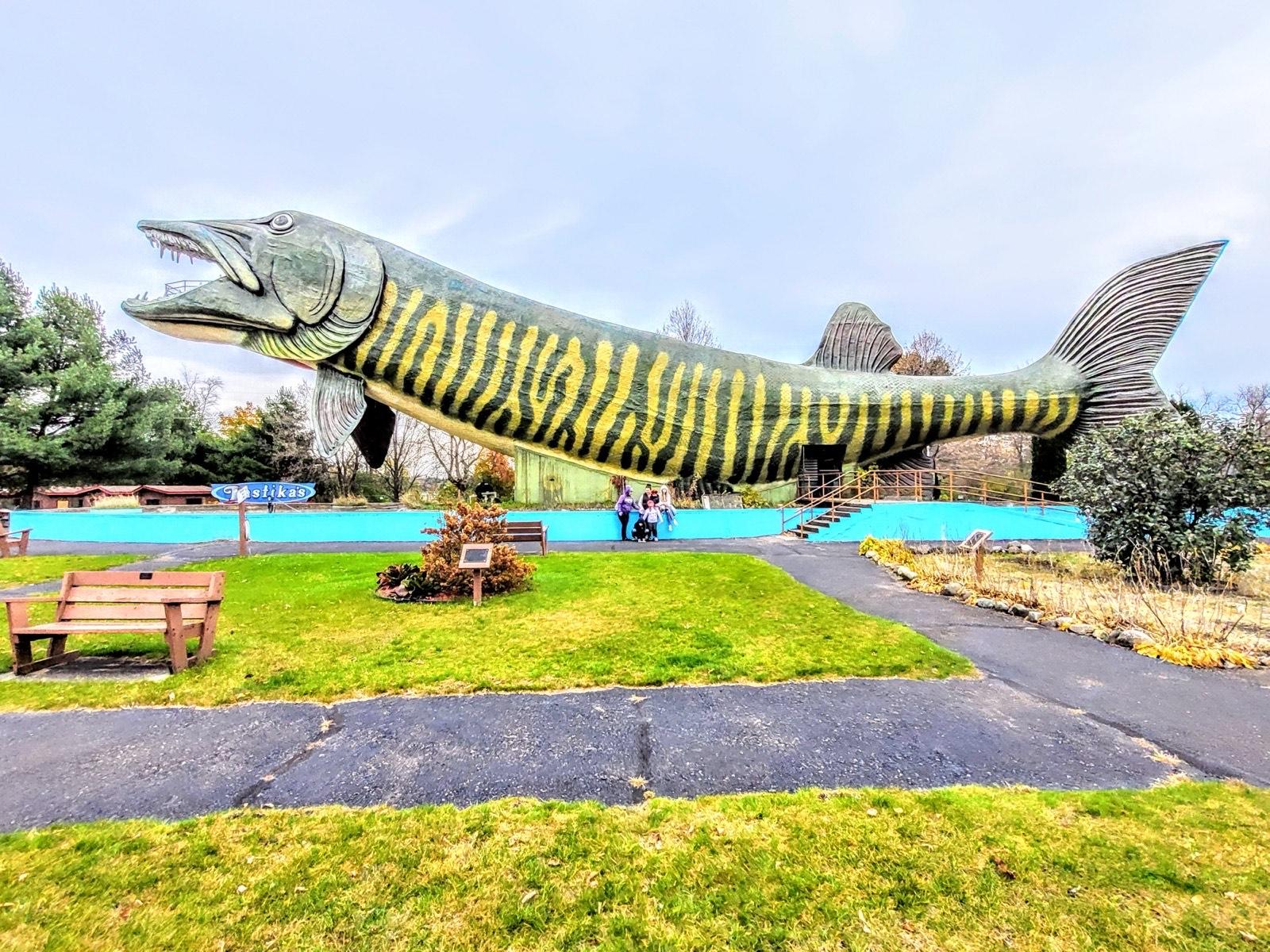 Hayward, Wisconsin: The Visitor's Guide (And a Local Secret)