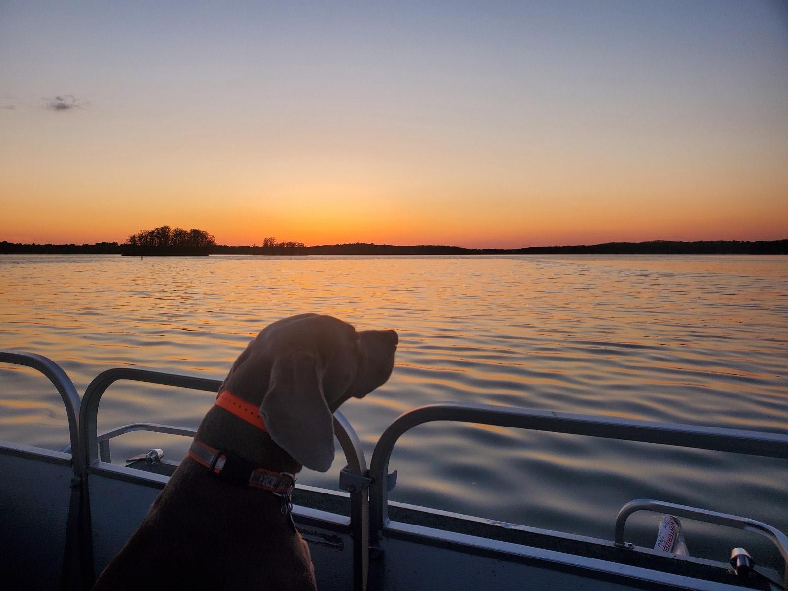 Pet-Friendly Cabin Vacations in Wisconsin's Northwoods