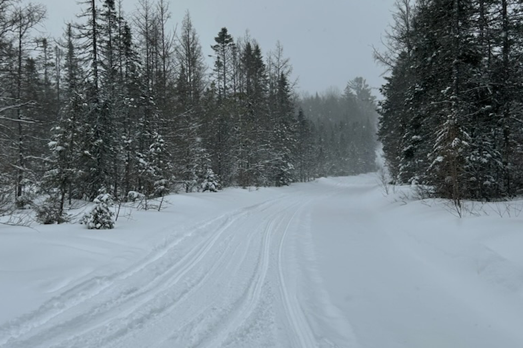 Winter Trails in Wisconsin: Snowshoeing, Skiing, and Hiking